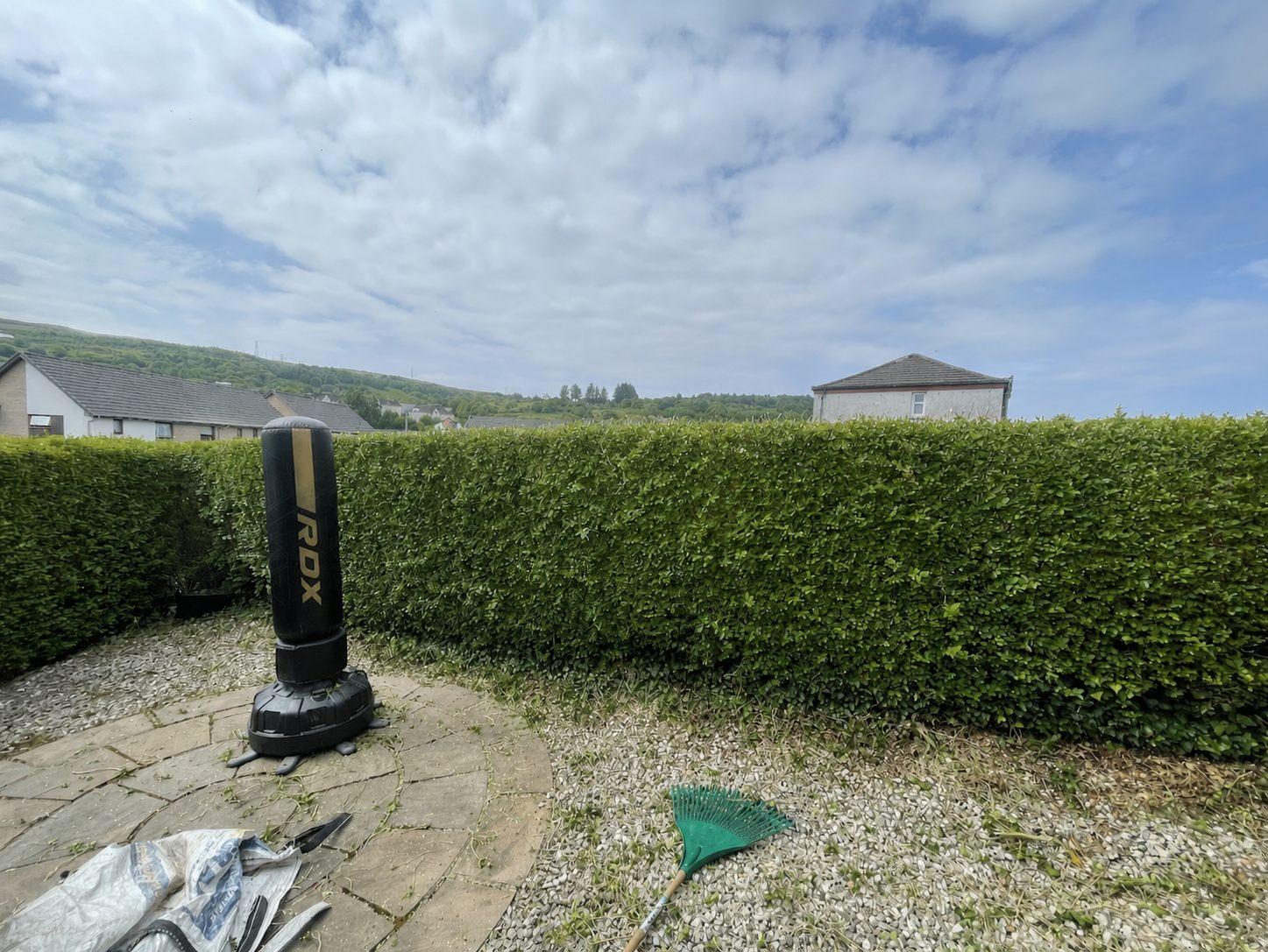Neatly cut mature boundary hedge after HedgeBros restoration work
